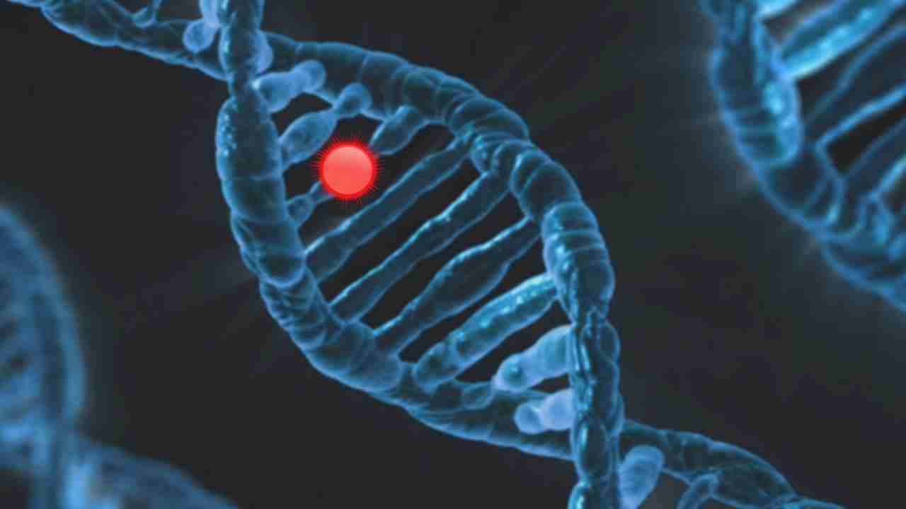 What is CRISPR? What can CRISPR do?