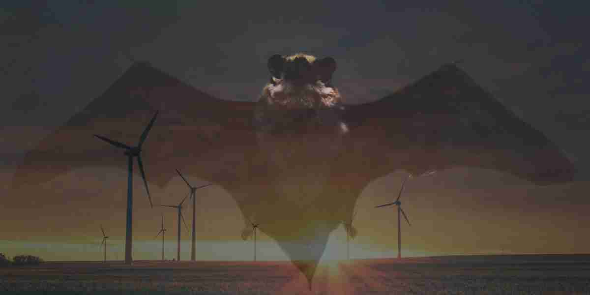 Drones could help protect bats from wind turbine collisions