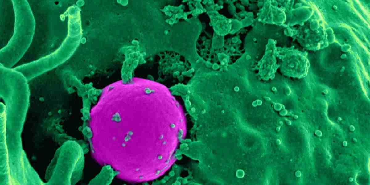 New Synthetic Molecule That Can SEEK & DESTROY Cancer Cells has been developed by Stanford Scientists