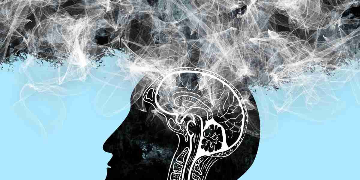 Potential New Alzheimers Disease Treatment Reduces Amyloid Plaque by up to 80%