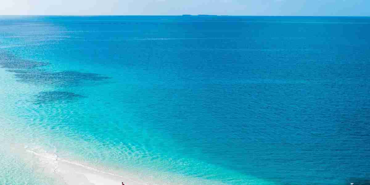 The High-Seas Treaty is Set to Protect up to One-Third of The World’s Oceans!