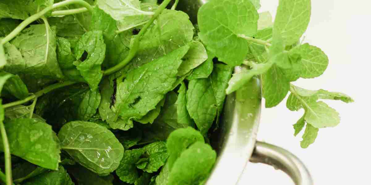 Smelling Methanol Improves Cognitive Decline Including Alzheimer’s Symptoms